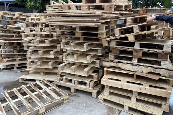 Cách quản lý pallet để giảm thiểu mất mát và hỏng hóc